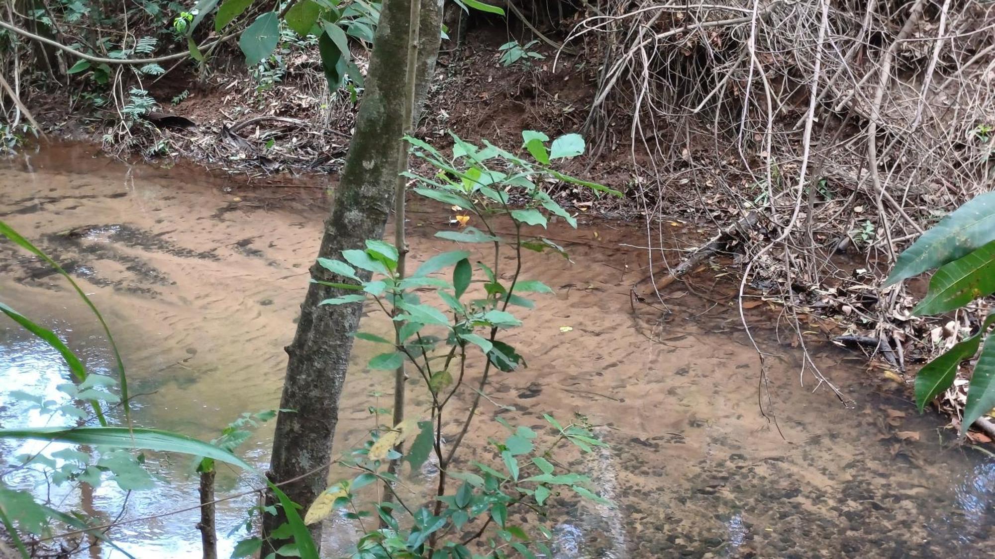 Sitio Encontro Das Aguas Brotas 圣保罗 外观 照片